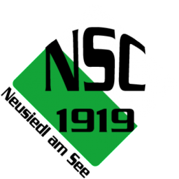 l14036-nsc-1919-logo-91310-300x300